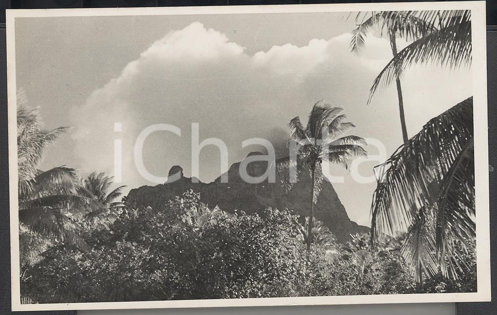 Fotografia d epoca originale 1937 BORA BORA Polinesia Interni dell isola  PHOTO cm 13,5 x 8,5 1