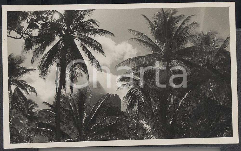 Fotografia d epoca originale 1937 BORA BORA Polinesia Interni dell isola PHOTO cm 13,5 x 8,5 1