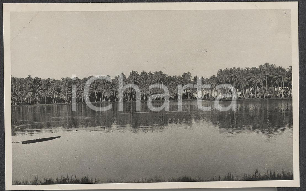 Fotografia d epoca originale 1937 TAHITI Polinesia Francese Interno dell isola REAL PHOTO cm 13,5 x 8,5 1