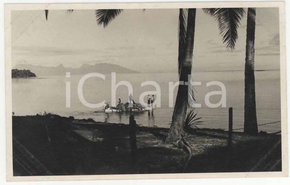 Fotografia d epoca originale 1937 MOOREA Polinesia Francese Scorcio dell isola REAL PHOTO cm 13,5 x 8,5 1