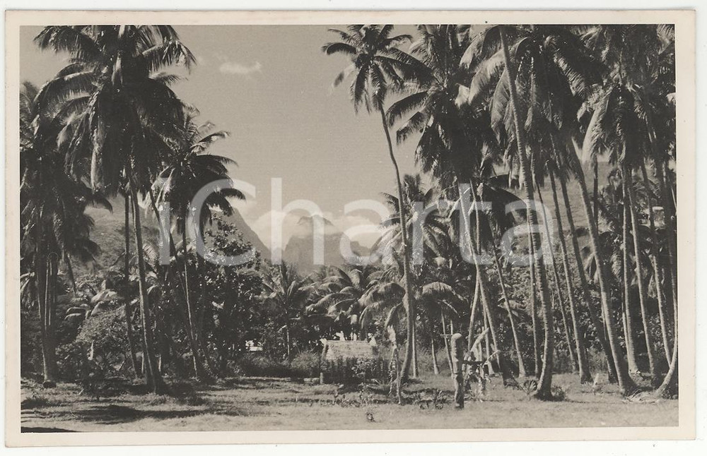 Fotografia d epoca originale 1937 TAHITI Polinesia Il Rivnac 3 REAL PHOTO cm 13,5 x 8,5 1