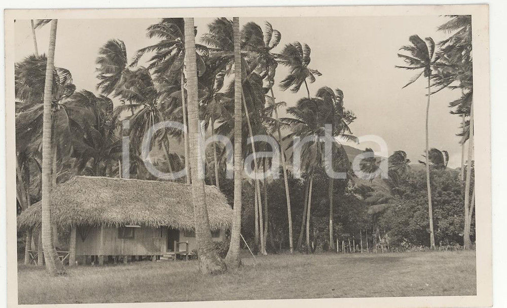 Fotografia d epoca originale 1937 TAHITI Polinesia Il Rivnac 2REAL PHOTO cm 13,5 x 8,5 1