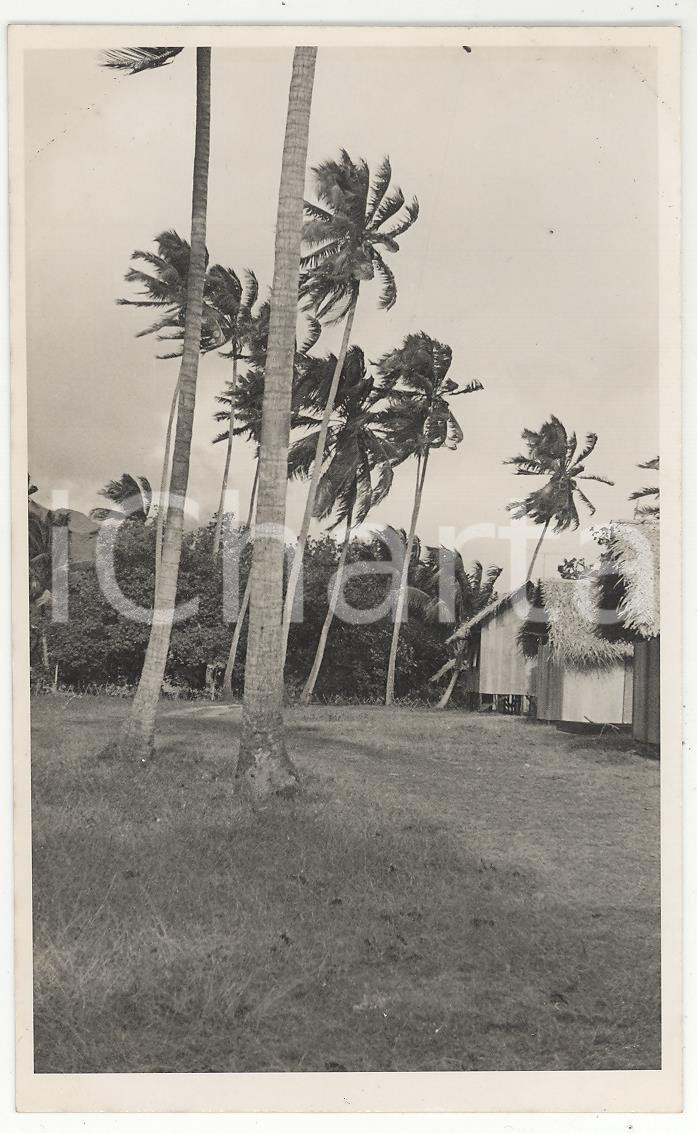 Fotografia d epoca originale 1937 TAHITI Polinesia Il Rivnac REAL PHOTO cm 13,5 x 8,5 1