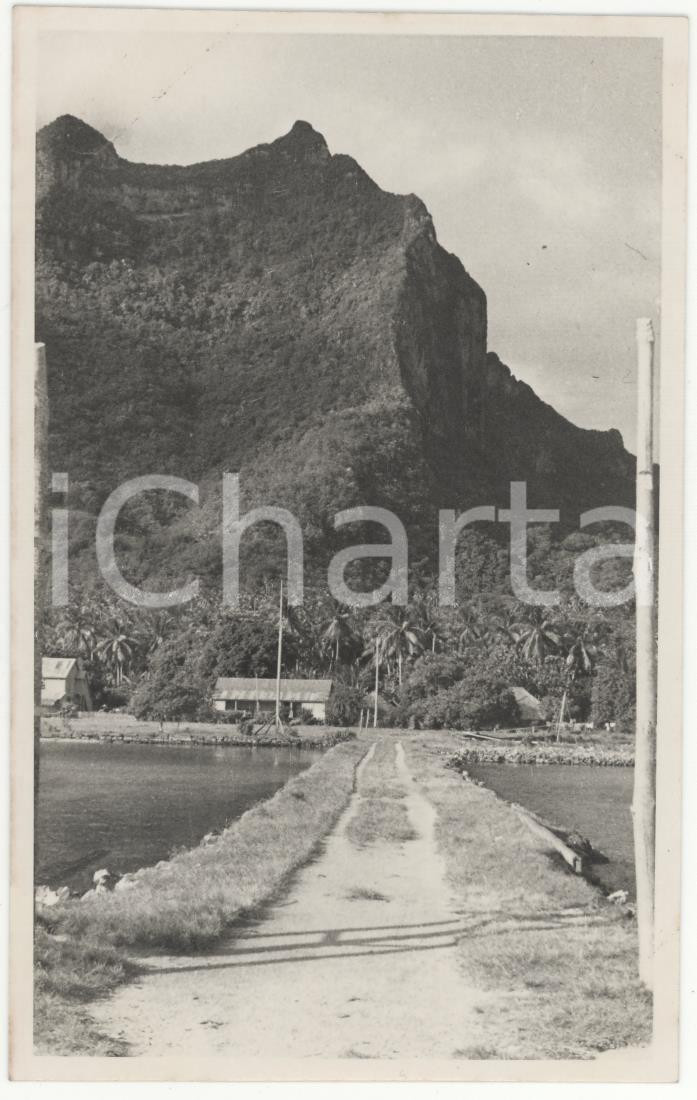 Fotografia d epoca originale 1937 BORA BORA Polinesia Scorcio interno dell isola REAL PHOTO cm 13,5 x 8,5 1