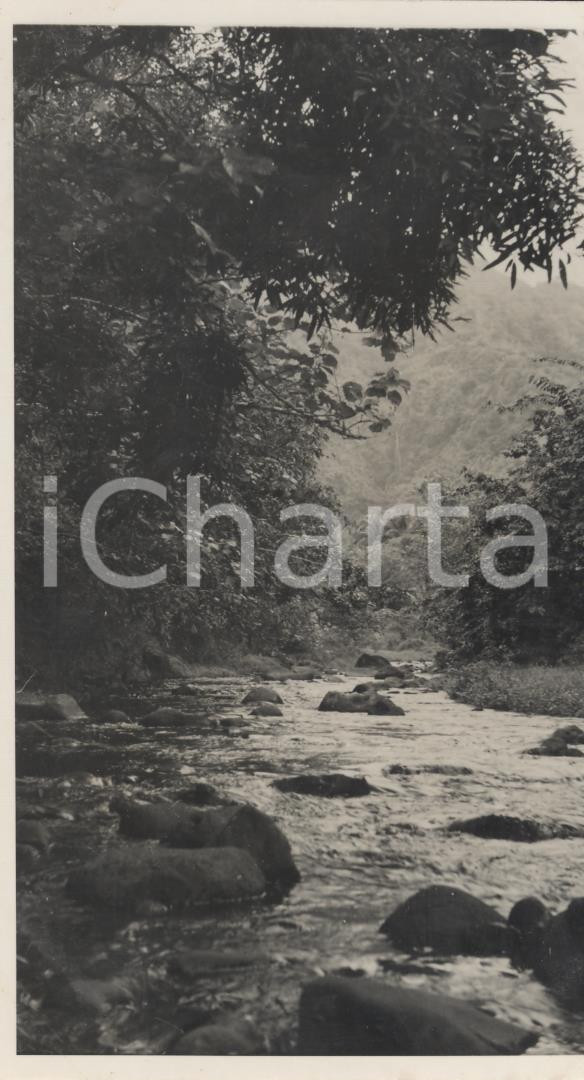 Fotografia d epoca originale 1937 MOOREA Polinesia Francese Scorcio interno  REAL PHOTO cm 13,5 x 8,5 1