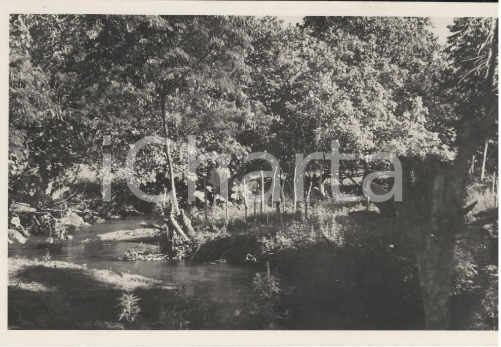 Fotografia d epoca originale 1937 TAHITI  Polinesia Veduta interni dell isola 2 REAL PHOTO cm 13,5 x 8,5 1