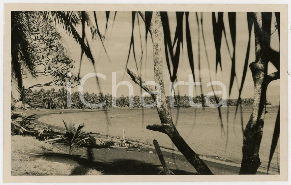 Fotografia d epoca originale 1937 MOOREA Polinesia Scorcio della spiaggia 2 REAL PHOTO cm 13,5 x 8,5 1
