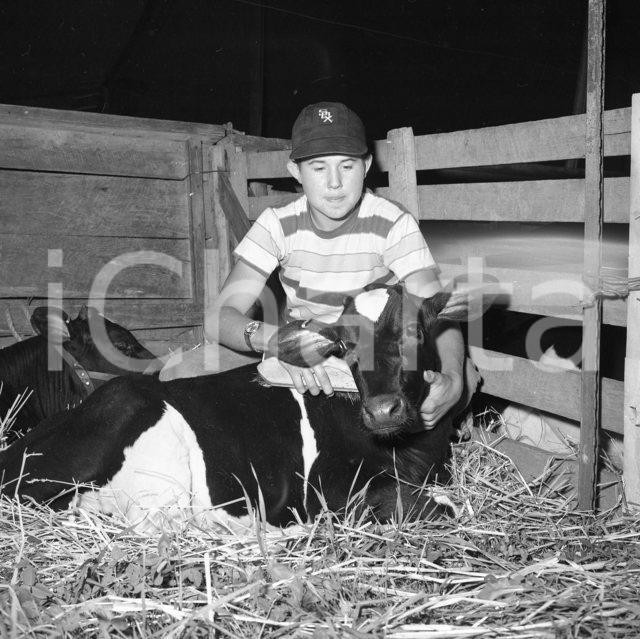Fotografia d epoca originale 1963 LAKE COUNTY FAIR at CROWN POINT INDIANA NEGATIVO ORIGINALE 1 1