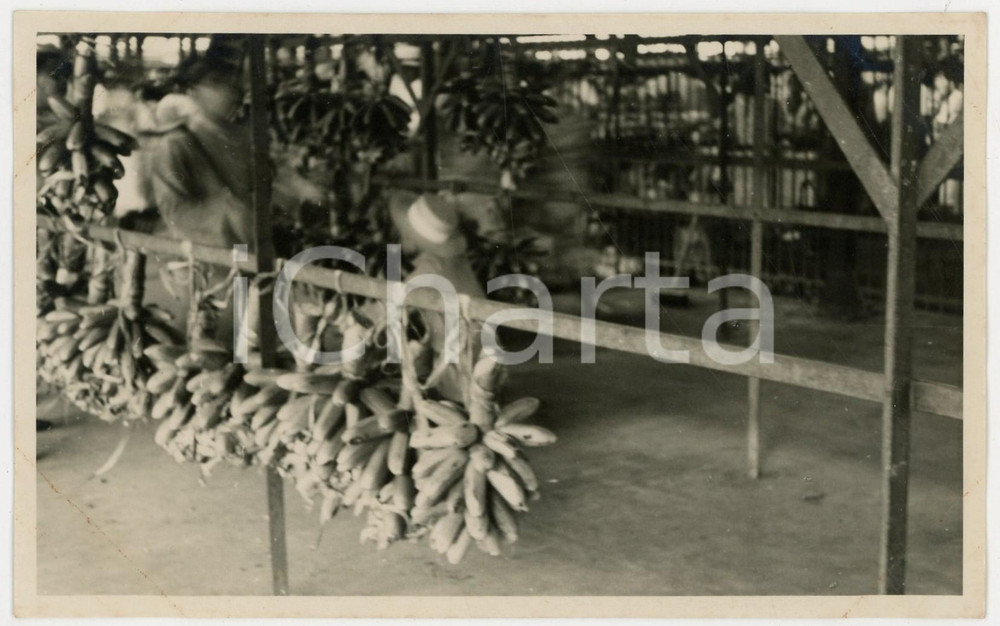 Fotografia d epoca originale 1937 MOOREA Polinesia Veduta del mercato REAL PHOTO cm 13,5 x 8,5 1