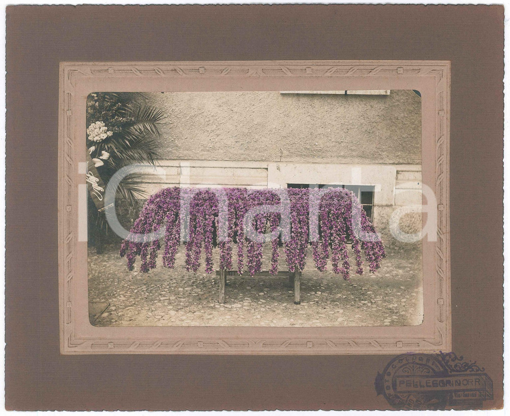 Fotografia d epoca originale 1915 ca MILANO Cimitero Monumentale  Addobbo funebre Foto PELLEGRINO 1