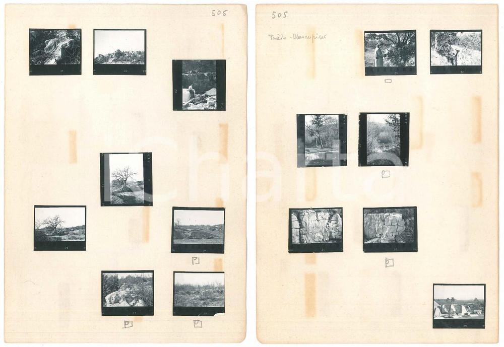 Fotografia d epoca originale 1965 ca MONRUPINO  TRIESTE Scorci naturalistici  15 provini 3x4 cm 1