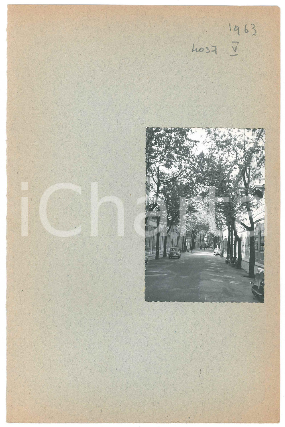 Fotografia d epoca originale 1963 TRIESTE Viale alberato con VESPA PIAGGIO Fotografia ANONIMA 10x7 cm 1