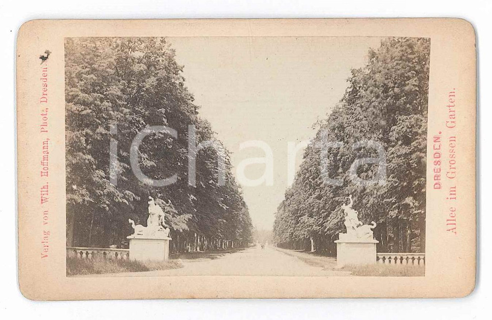 Fotografia d epoca originale 1871 DRESDEN GERMANY Allee im Grossen Garten  Giardini Reali Photo HOFFMANN 1
