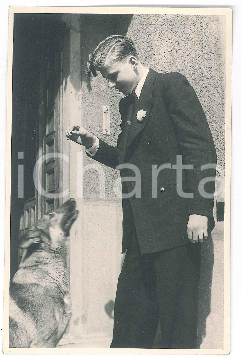Fotografia d epoca originale 1930 ca MILANO Ritratto di adolescente con il suo cane  Foto VIGANO  9x14 cm 1