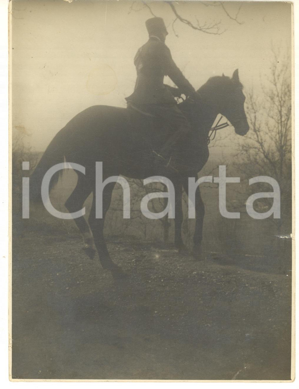 Fotografia d epoca originale 1915 ca WW1 ITALIA Ufficiale sul cavallo FAUNO  Ritratto  Foto 13x18 cm 1