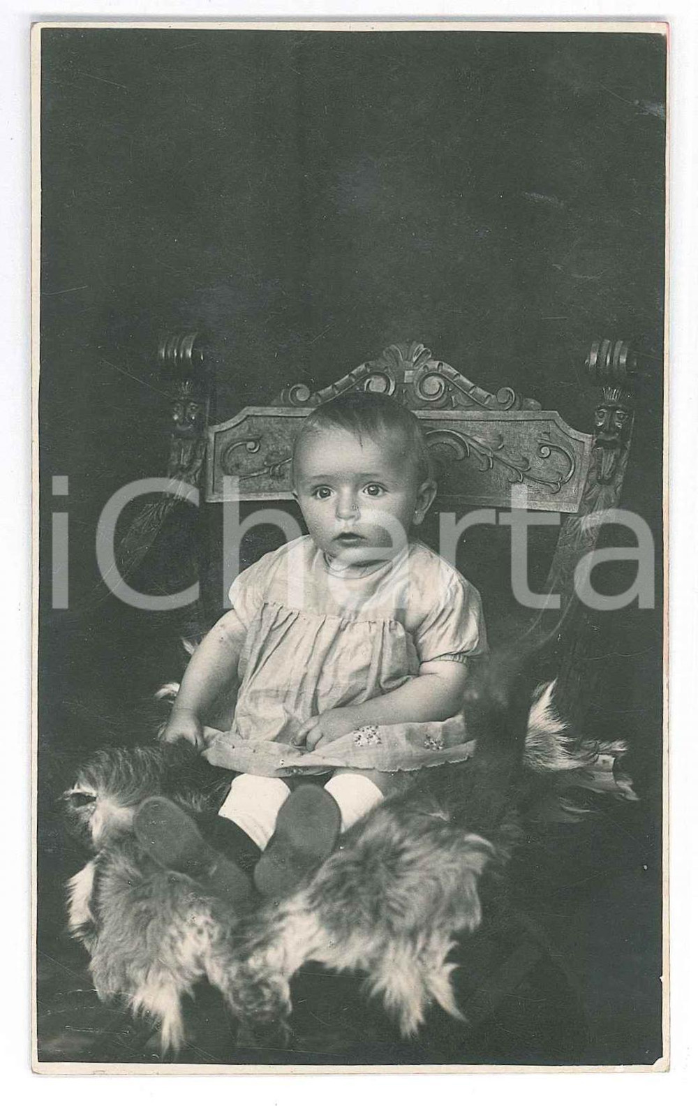 Fotografia d epoca originale 1925 ca GIAVENO TO Bambina in poltrona  Foto cartolina GIAJ LEVRA 1