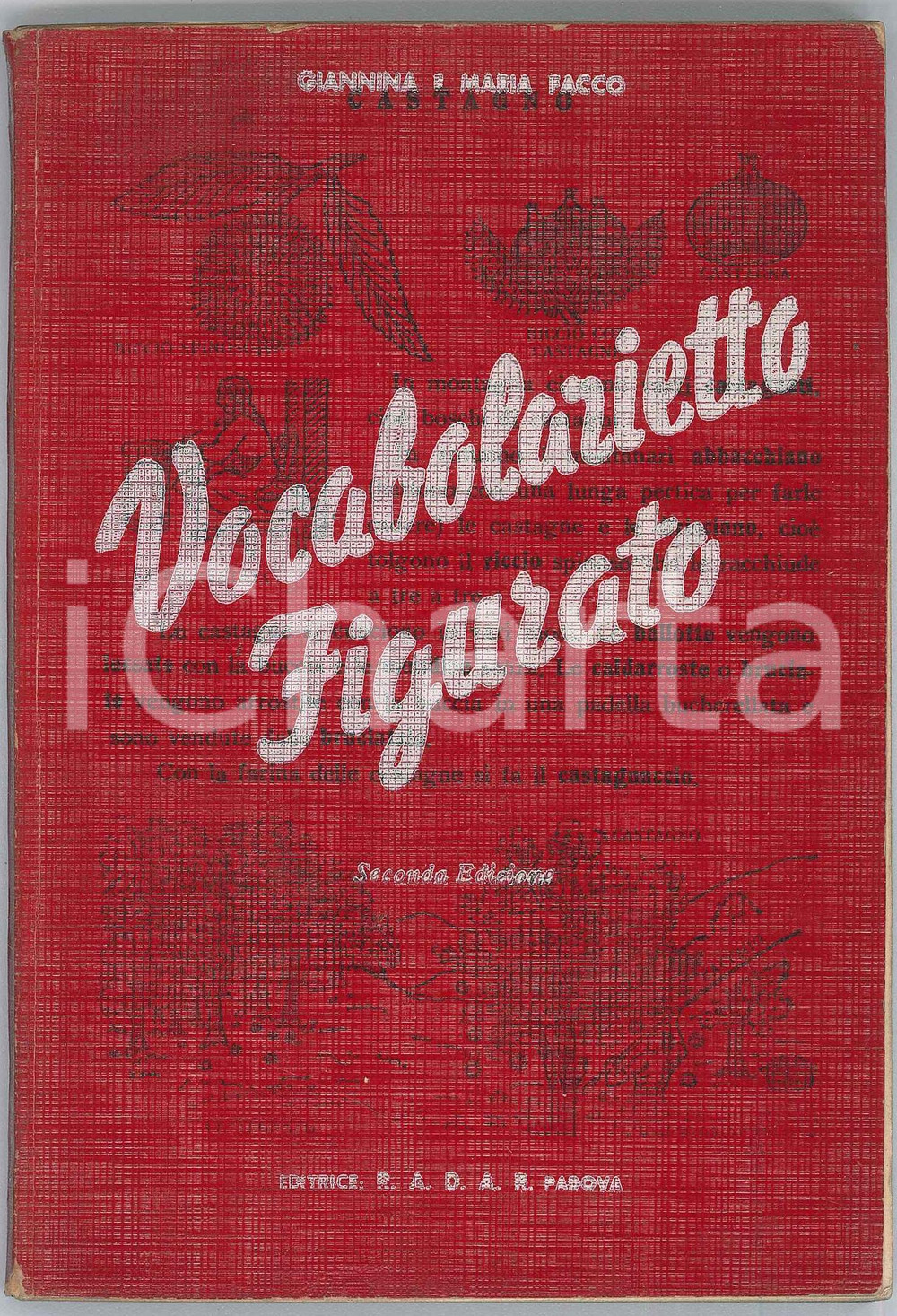 Libro, pubblicazione d epoca 1953 Giannina e Maria FACCO Vocabolario figurato  Ed. RADAR PADOVA 1