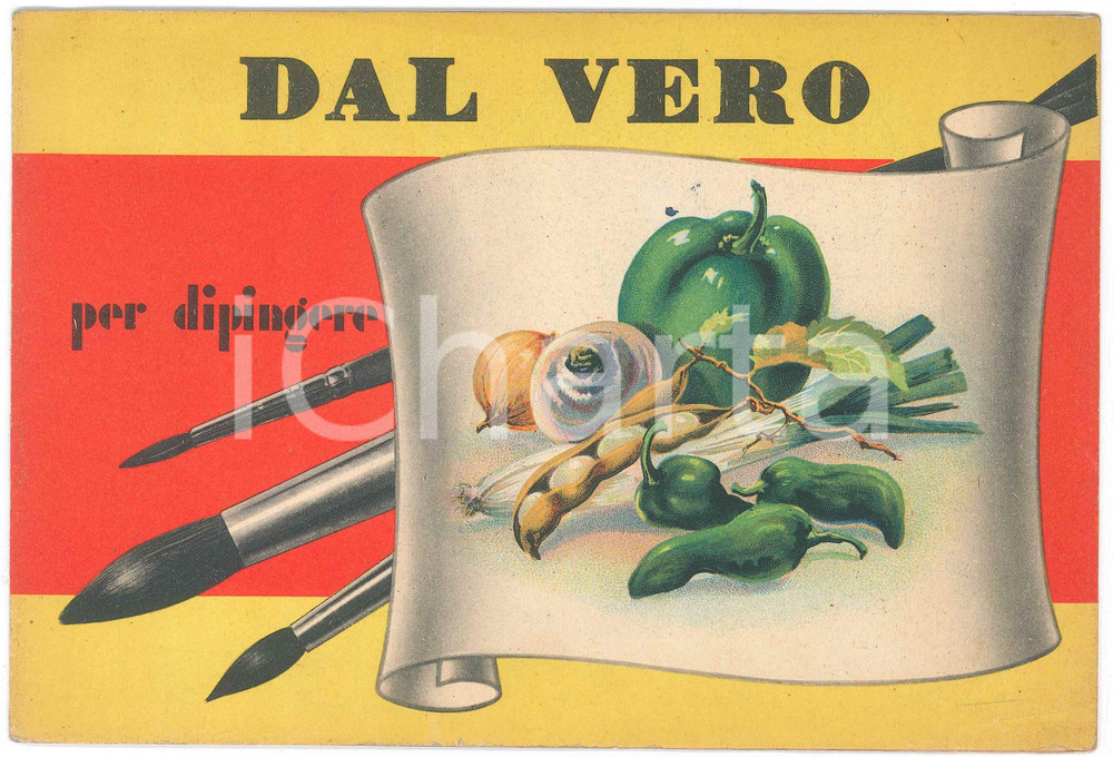 Libro, pubblicazione d epoca 1950 ca Album DAL VERO  Per dipingere  Editrice PICCOLI Serie DAL VERO n° 6 1