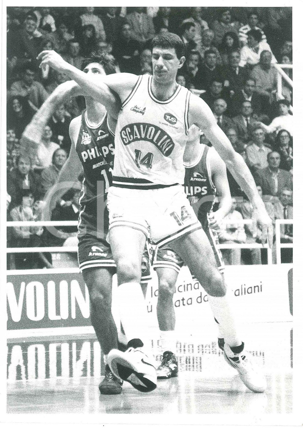 Fotografia d epoca originale 1990 ca BASKET Victoria Libertas PESARO Ario COSTA in partita  Foto 1