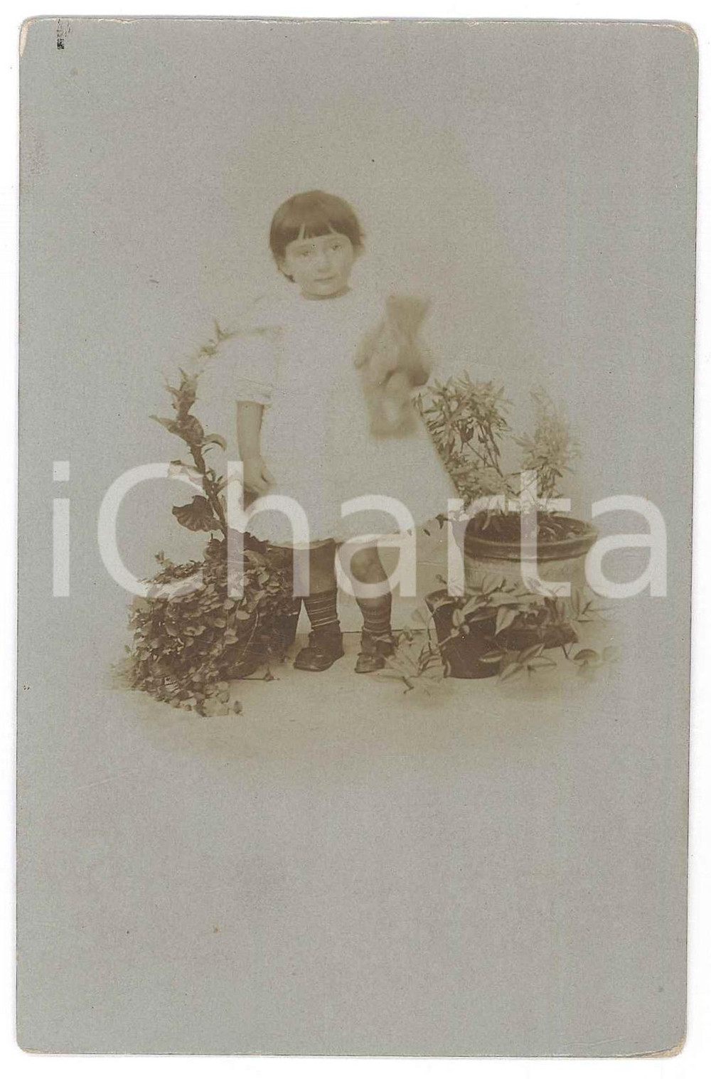 Fotografia d epoca originale 1910 ca COSTUME ITALIA  Bambina con il suo peluche Foto 9x14 cm 1