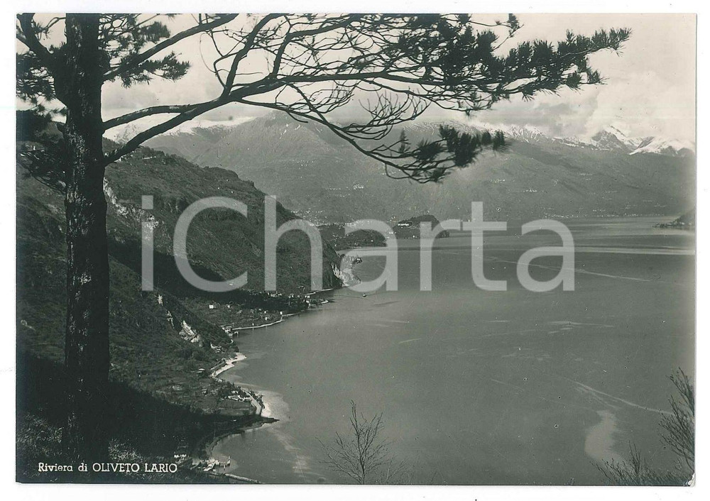 Cartolina originale da collezione 1960 ca LAGHI ALPINI  LOMBARDIA  Riviera di OLIVETO LARIO  Cartolina FG NV 1