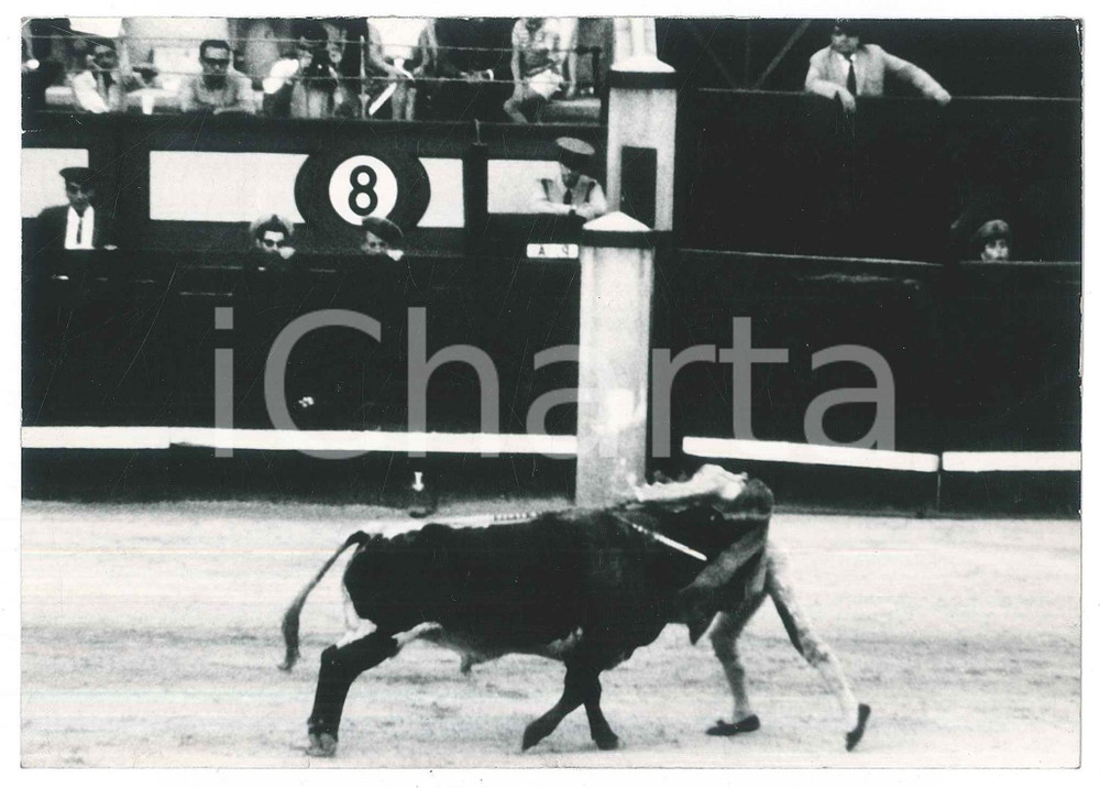 Fotografia d epoca originale 1970 ca ESPAÃ‘A  Corrida  Incidente torero SebastiÃ¡n Martin Chanito Foto 4 1