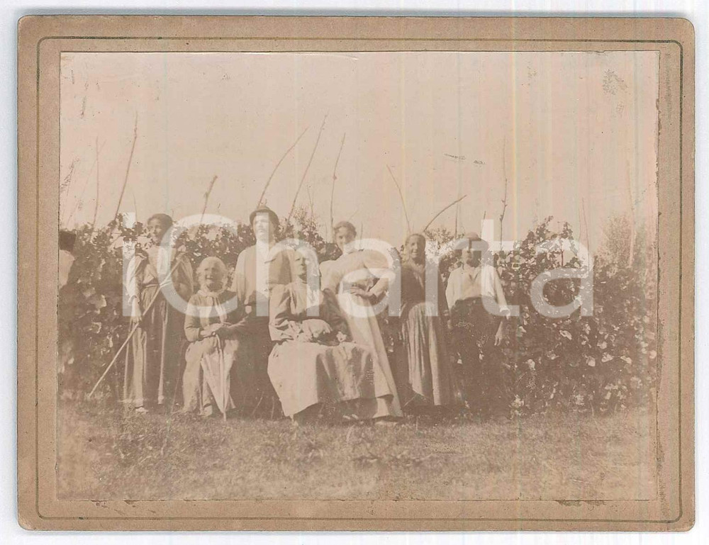 Fotografia d epoca originale 1900 ca COSTUME  ITALIA Ritratto di famiglia tra i filari  Fotografia 12x9 cm 1