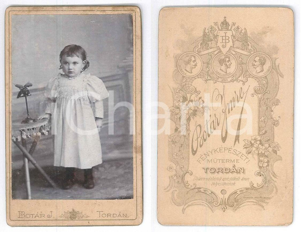 Fotografia d epoca originale 1910 ca TURDA / TORDAN ROMANIA Portrait of little girl Photo Jmre BOTAR CDV 1