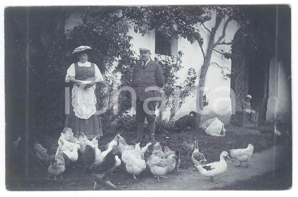Fotografia d epoca originale 1910 ca GUTENBRUNN AUSTRIA Famiglia in cortile tra le galline Foto 14x9 cm 1