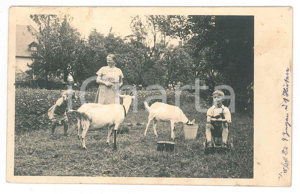 Fotografia d epoca originale 1930 ca KLEINWELKA / BAUTZEN D Woman with children and goats Photo 14x9 1