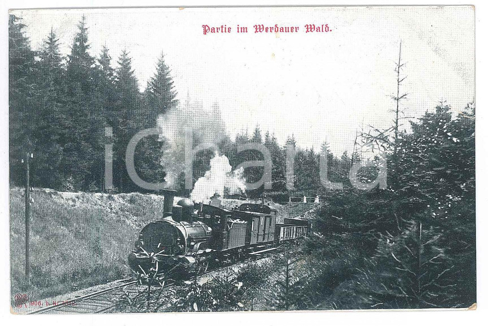 Cartolina originale da collezione 1906 GERMANY  WERDAUER WALD  Passage of the train Postcard 1
