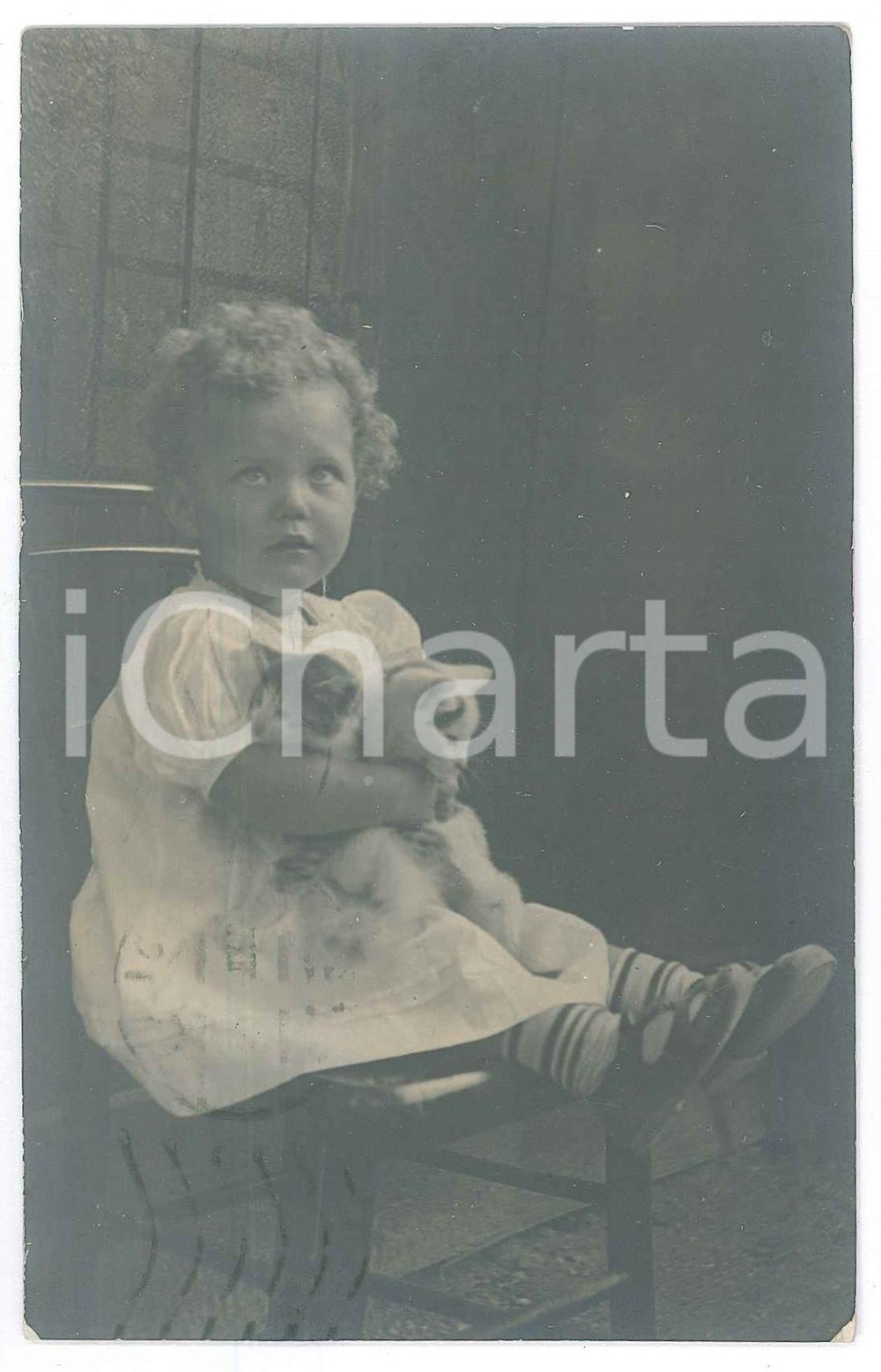 Fotografia d epoca originale 1911 POLA ISTRIA Bambina con i suoi gattini  Ritratto  Foto 9x14 cm 1