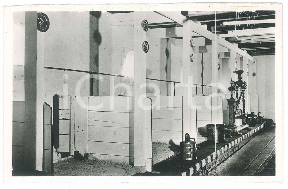 Cartolina originale da collezione 1950 ca NETHERLANDS Koestal  Cowhouse in summer DAMAGED postcard 1