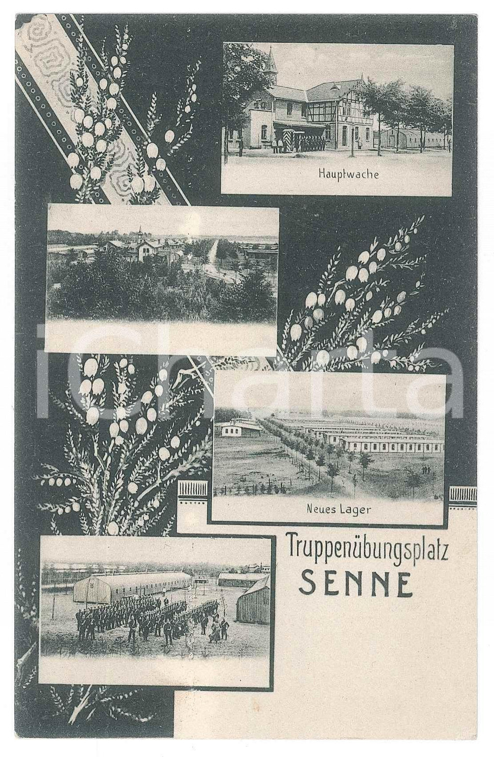 Cartolina originale da collezione 1908 SENNE D TruppenÃ¼bungsplatz  Neues Lager  Hauptwache Postcard 1