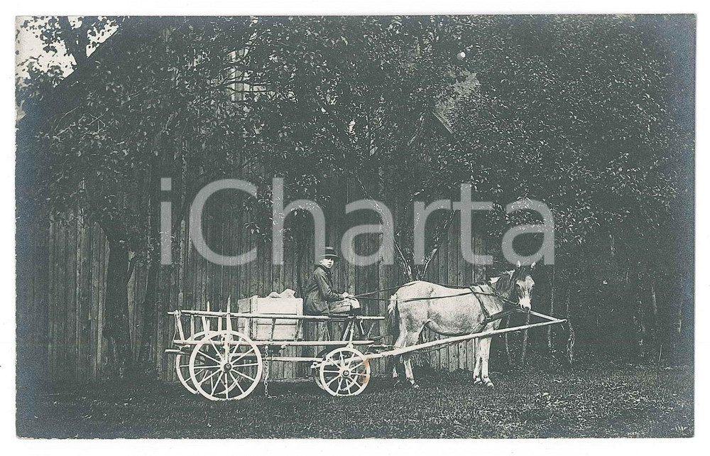 Fotografia d epoca originale 1910 ca GERMANIA Giovane con carretto per il trasporto di merci Foto 14x9 cm 1