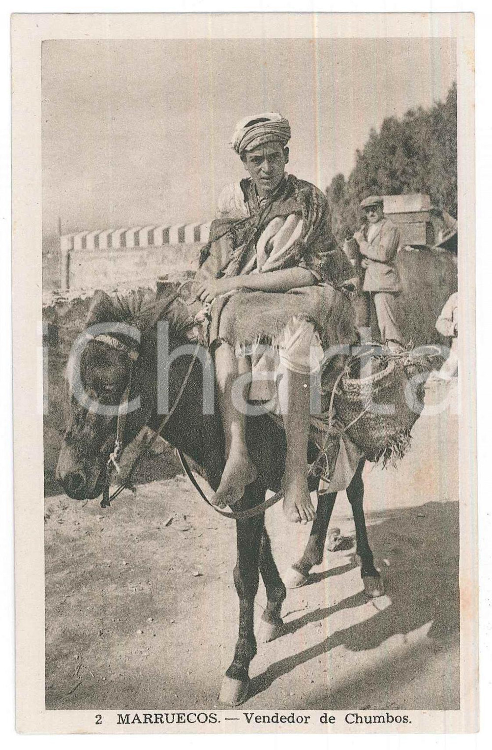 Cartolina originale da collezione 1925 ca MOROCCO  ETHNIC TYPES  Vendedor de chumbos Postcard 1