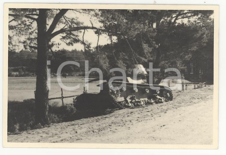 Fotografia d epoca originale 1941 WW2 POLONIA ? Operazione Barbarossa Panzer distrutto PHOTO cm 9 x 6 1