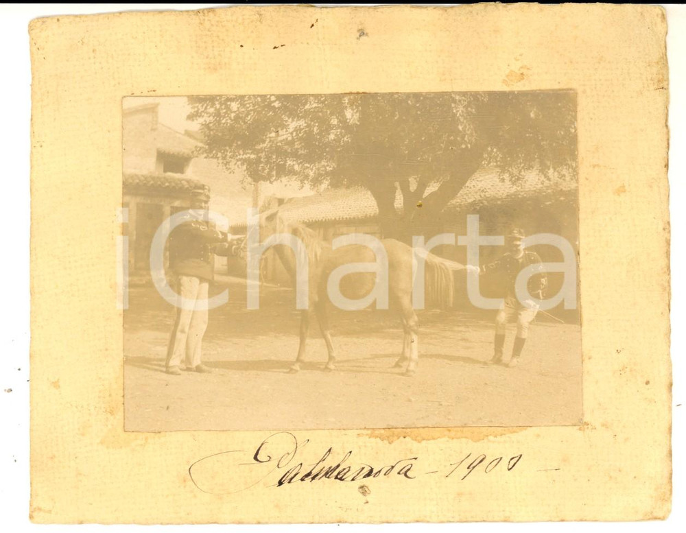 Fotografia d epoca originale 1900 PALMANOVA IPPICA Ufficiali tirano cavallo per la coda  Foto CURIOSA 15x12 1