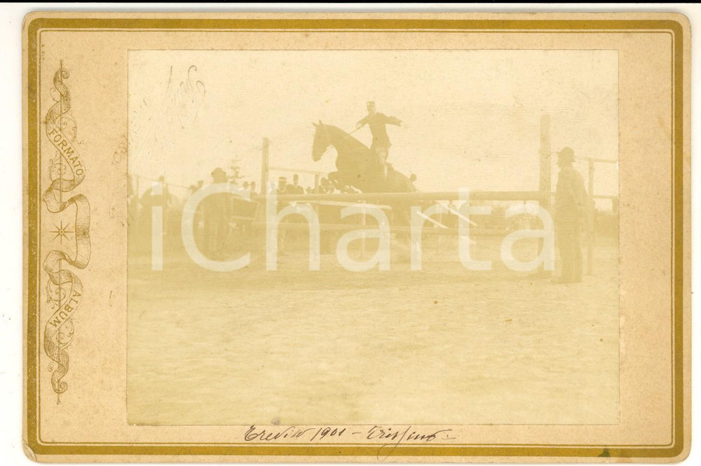 Fotografia d epoca originale 1901 TREVISO IPPICA Cavallo TRISSINO durante una gara  Foto Fratelli GARATTI 1