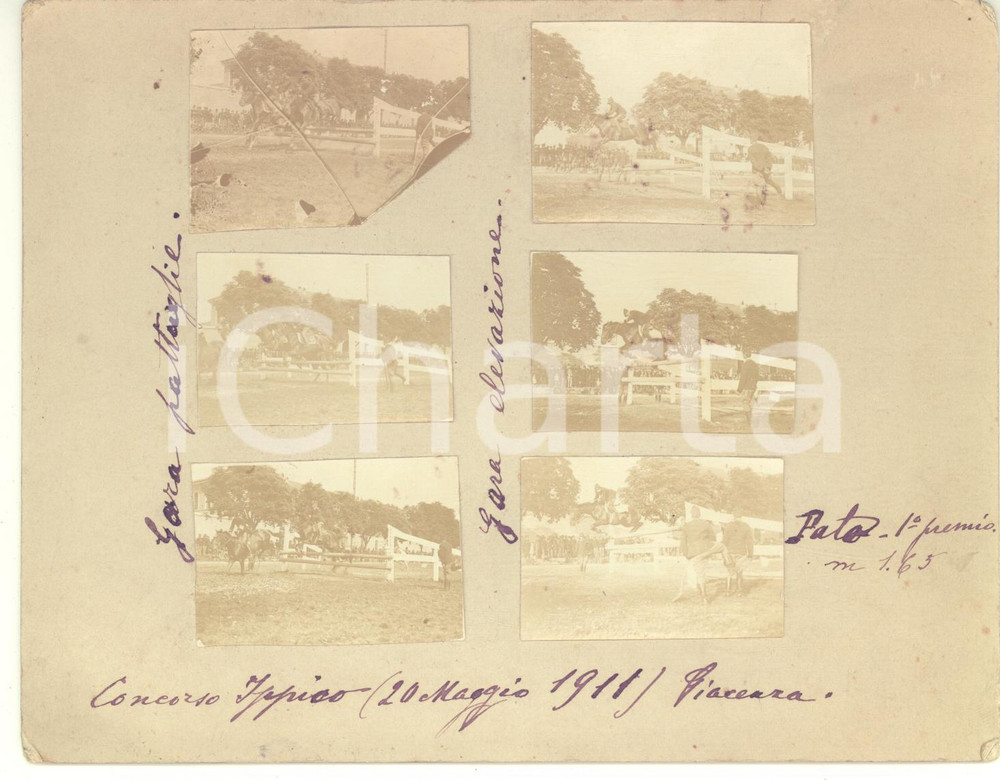Fotografia d epoca originale 1911 PIACENZA Concorso Ippico  Gara pattuglie  Collage 6 foto 5x3 cm 1