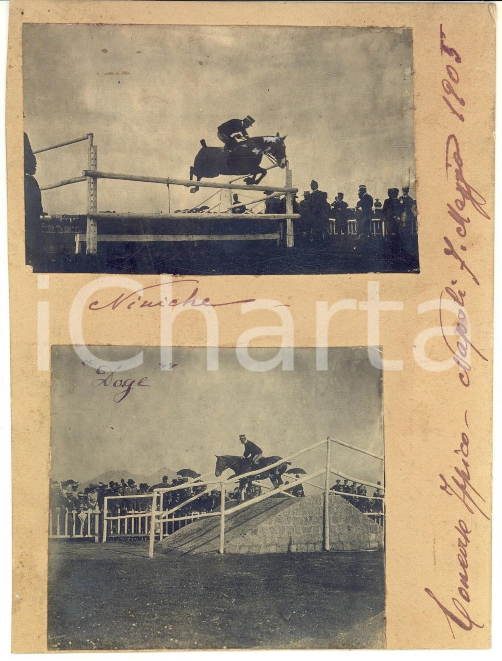Fotografia d epoca originale 1905 NAPOLI Concorso Ippico  Cavalli NINICHE e DOGE in gara  Collage 2 foto 1