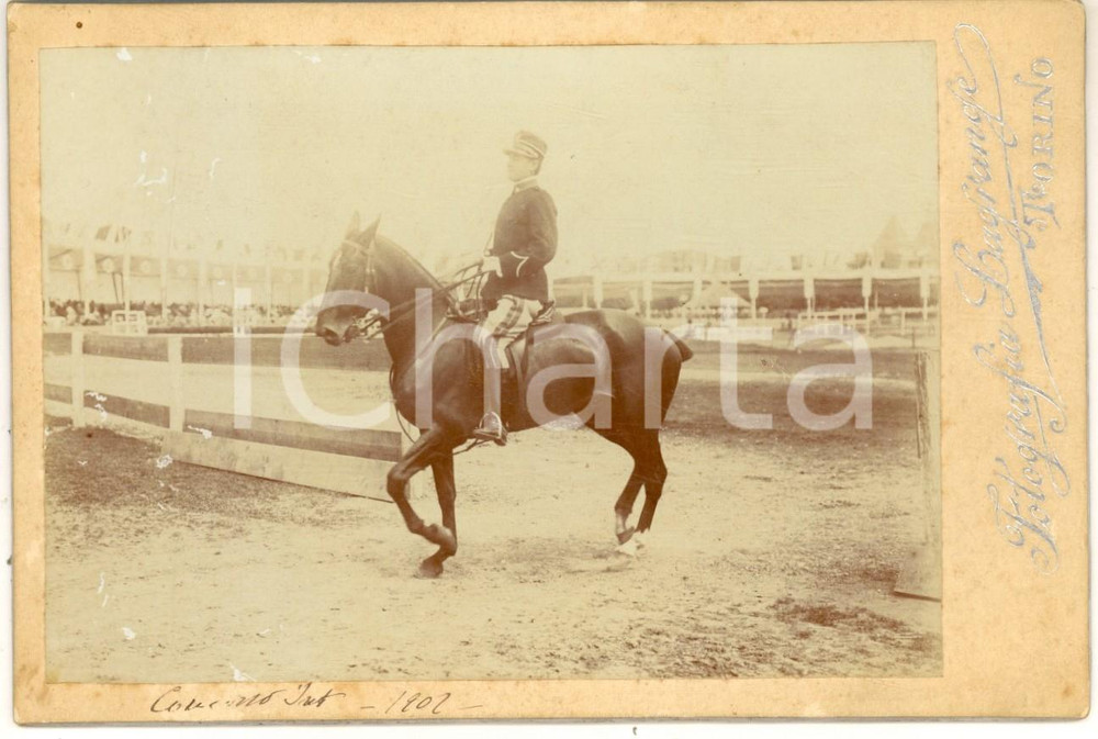 Fotografia d epoca originale 1902 TORINO IPPICA Concorso internazionale  Cavallo al trotto  Foto LAGRANGE 1