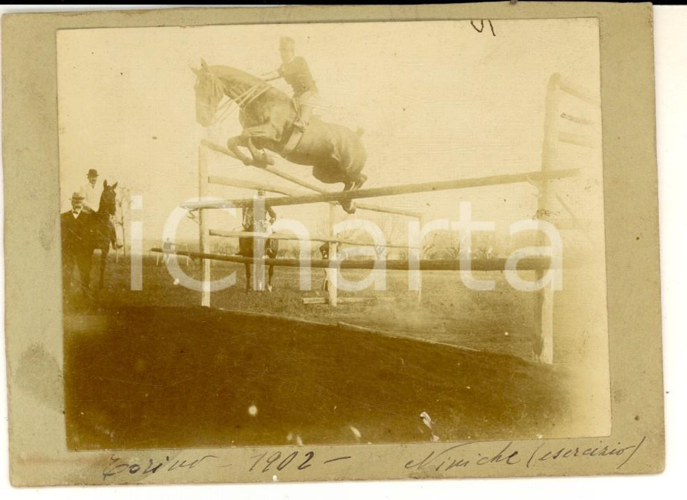 Fotografia d epoca originale 1902 TORINO IPPICA Cavallo NINICHE durante un esercizio  Foto VINTAGE 12x9 cm 1