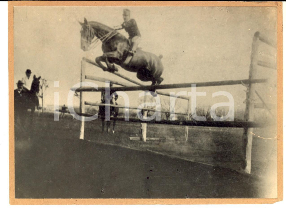 Fotografia d epoca originale 1902 TORINO IPPICA Cavallo NINICHE durante un esercizio  Foto VINTAGE 16x11 cm 1