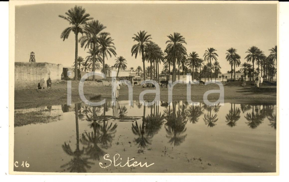 Fotografia d epoca originale 1925 ca ZLITEN LIBIA Una veduta dell oasi  Foto cartolina VINTAGE ANIMATA 1