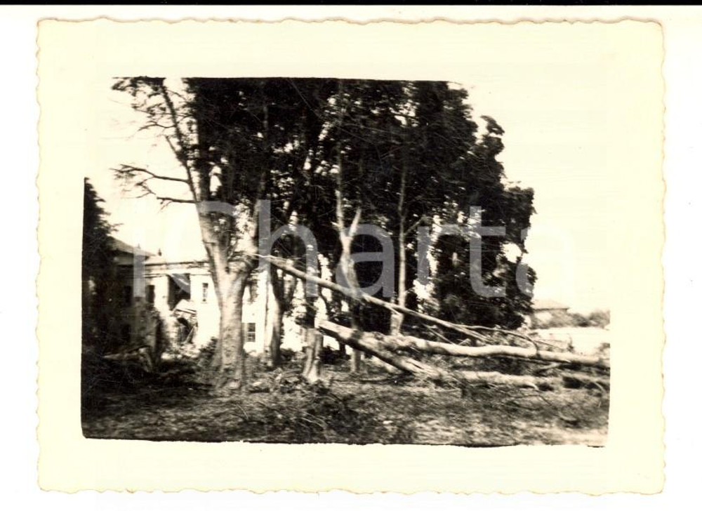 Fotografia d epoca originale 1944 WW2 AREA DI ALESSANDRIA Parco colpito da un bombardamento Foto 10x7 1