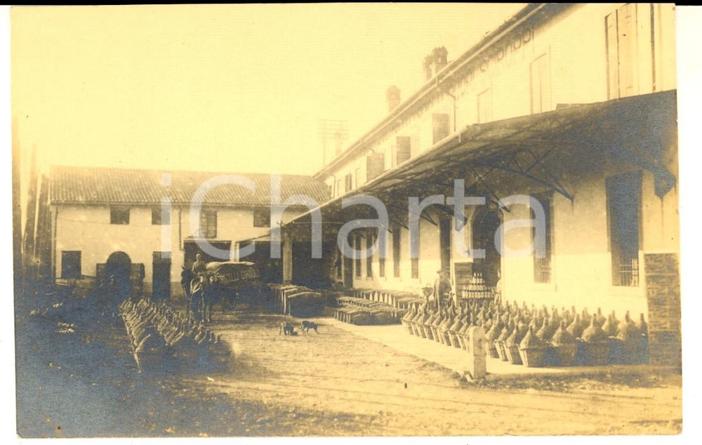 Fotografia d epoca originale 1910 ca AREA DI VERONA Distilleria F.LLI CORDIOLI  Cortile con i fiaschi Foto 1