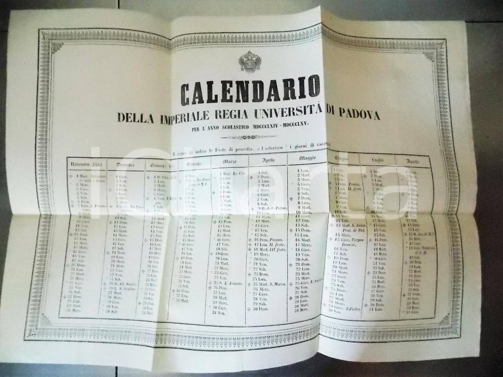 Documento originale, autentico 1864 Regia Università di PADOVA Calendario anno scolastico  55x40 cm 1
