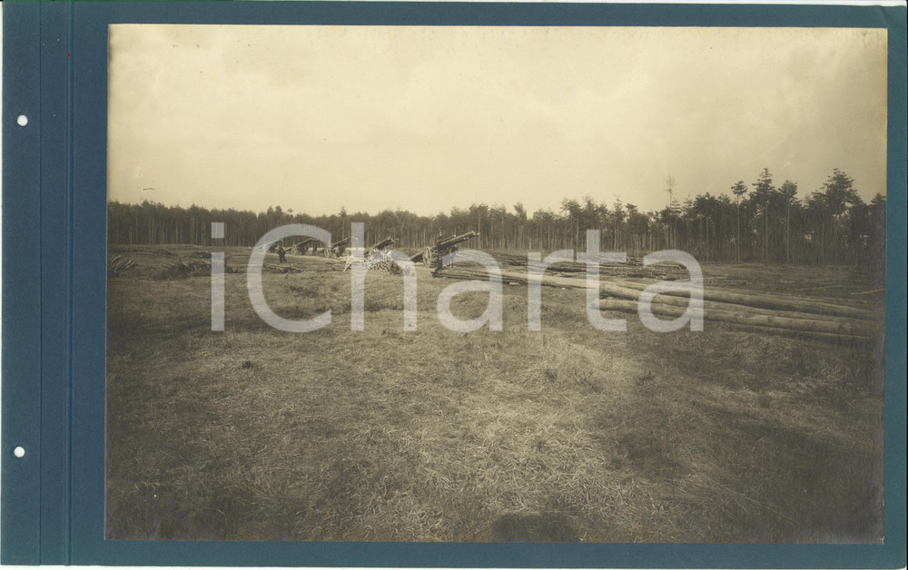 Fotografia d epoca originale 1920 ca CERIANO LAGHETTO Ditta TRANQUILLO ROSSI  Trasporto del legname Foto 1