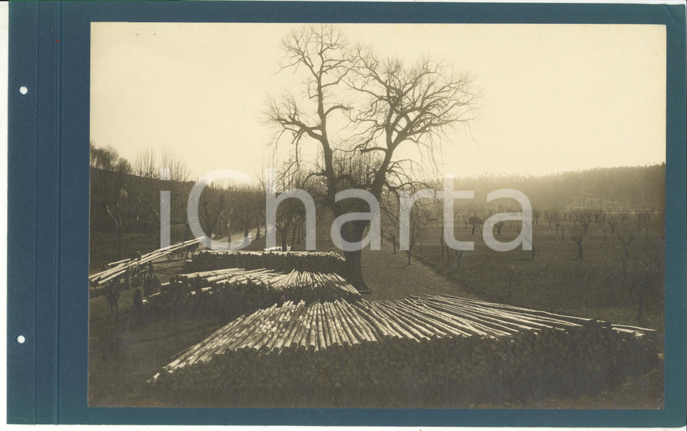 Fotografia d epoca originale 1920 ca CERIANO LAGHETTO Ditta TRANQUILLO ROSSI  Accatastamento legname Foto 1
